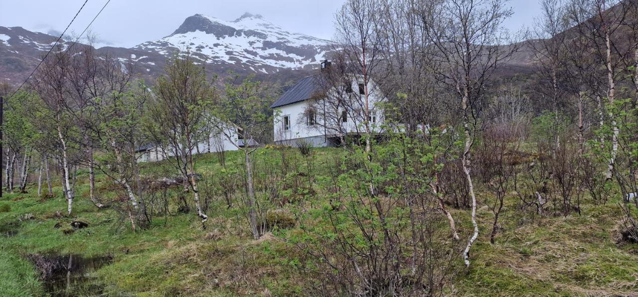 Pilan Lodge Lofoten Vestpollen Экстерьер фото