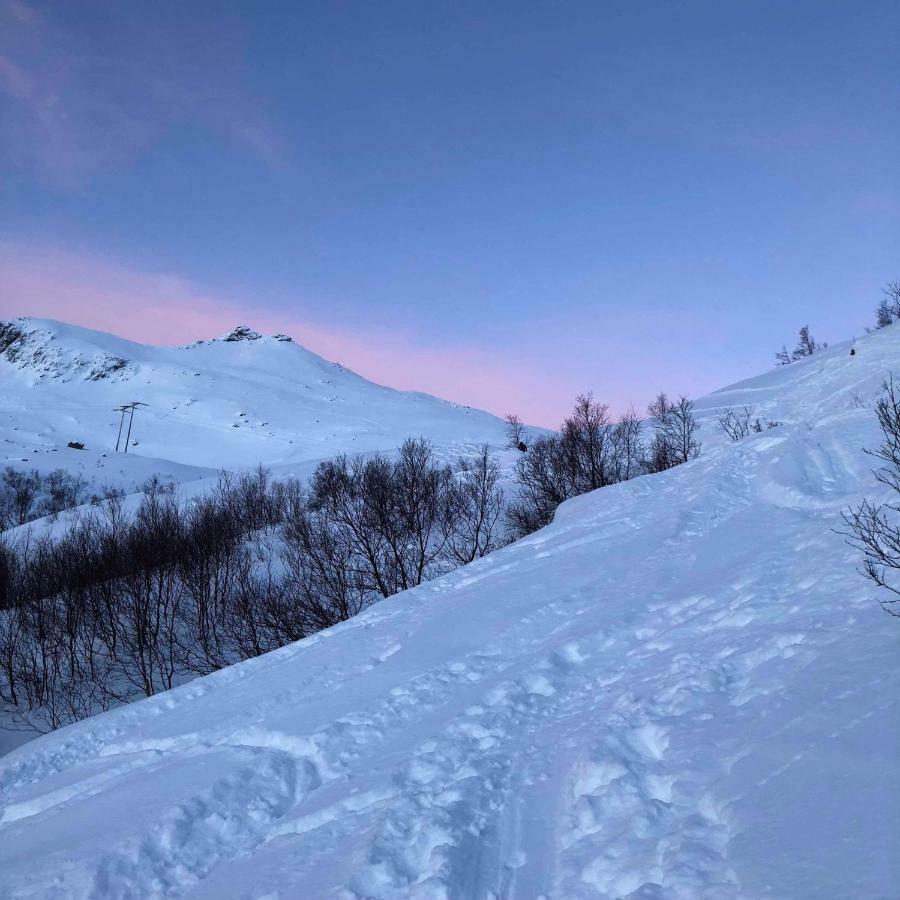 Pilan Lodge Lofoten Vestpollen Экстерьер фото