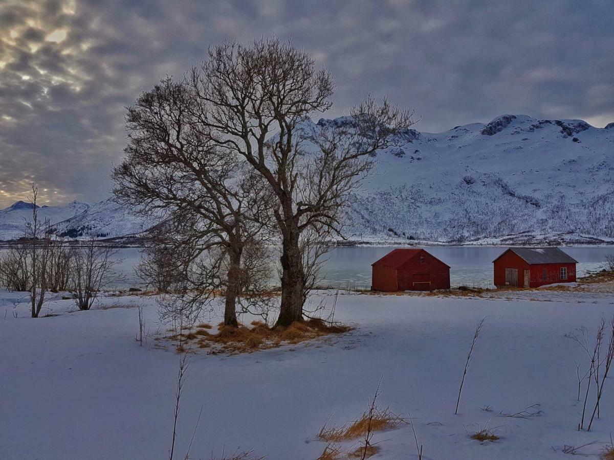 Pilan Lodge Lofoten Vestpollen Экстерьер фото