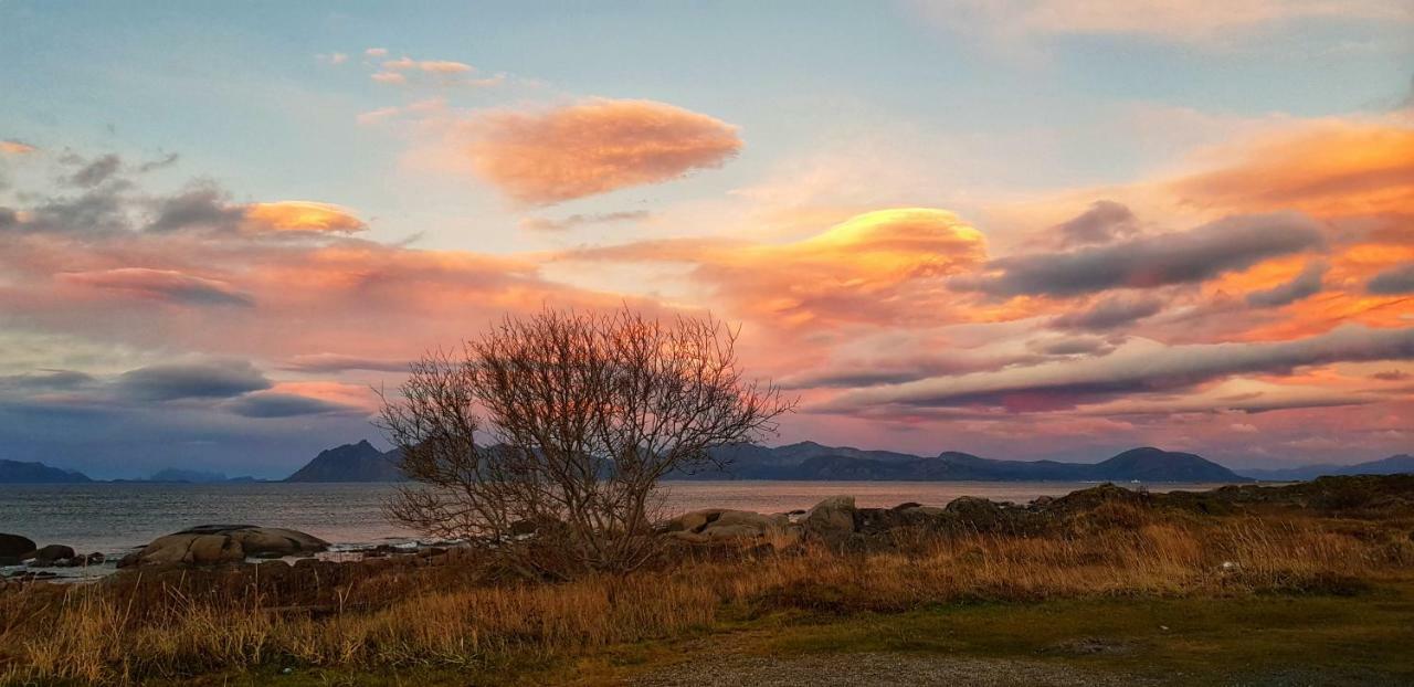 Pilan Lodge Lofoten Vestpollen Экстерьер фото